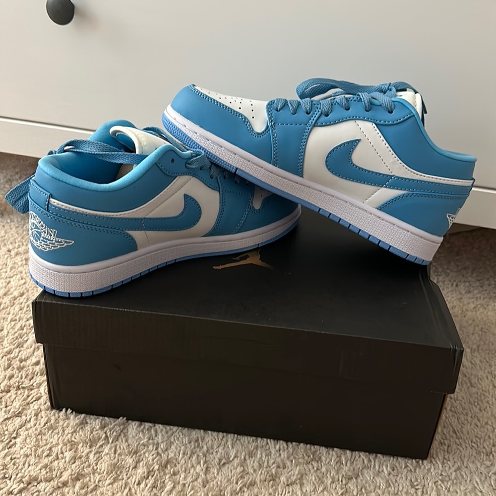 Nike Dunks - NEW in box